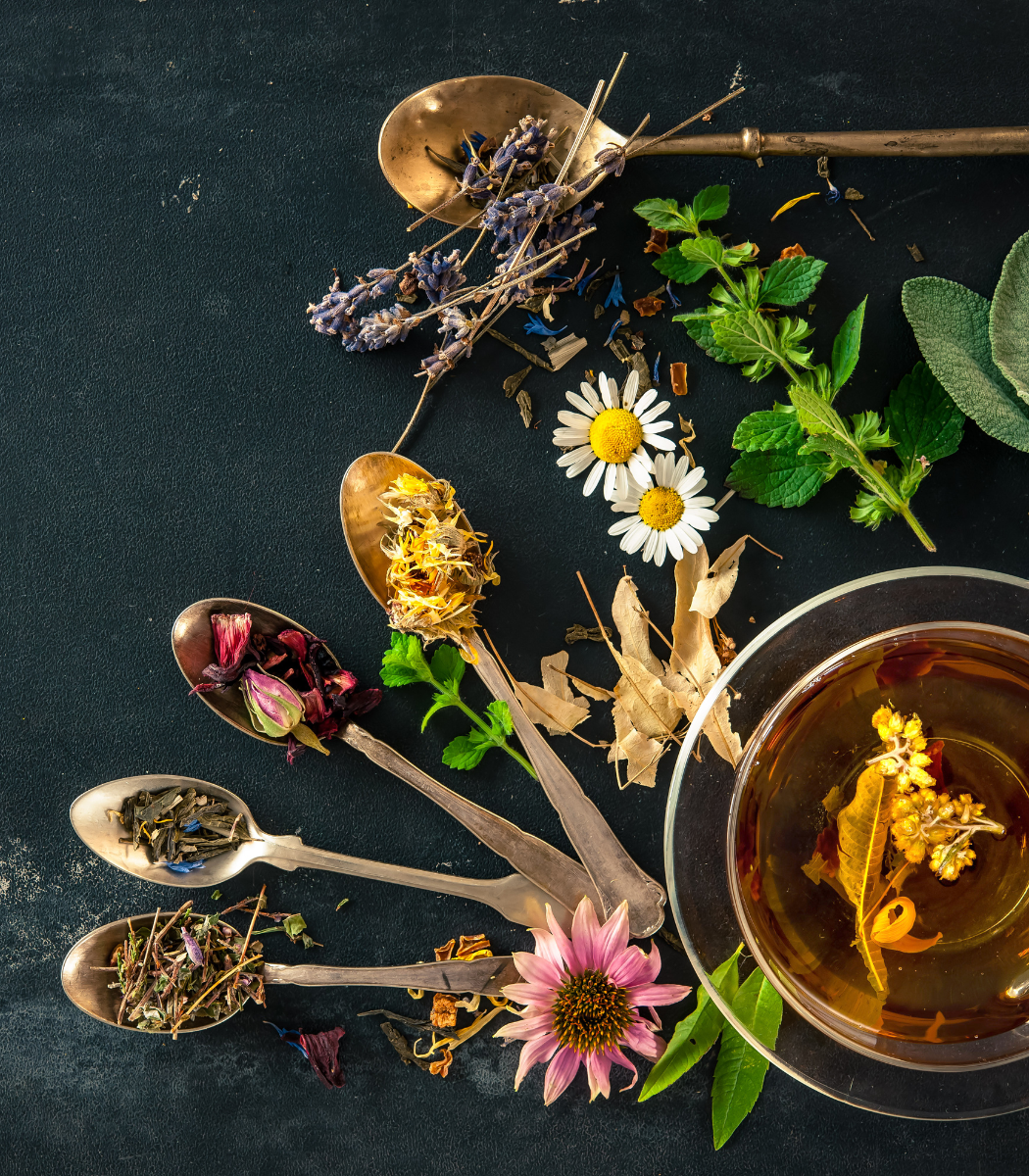 Organic Tea Starter Gift Set