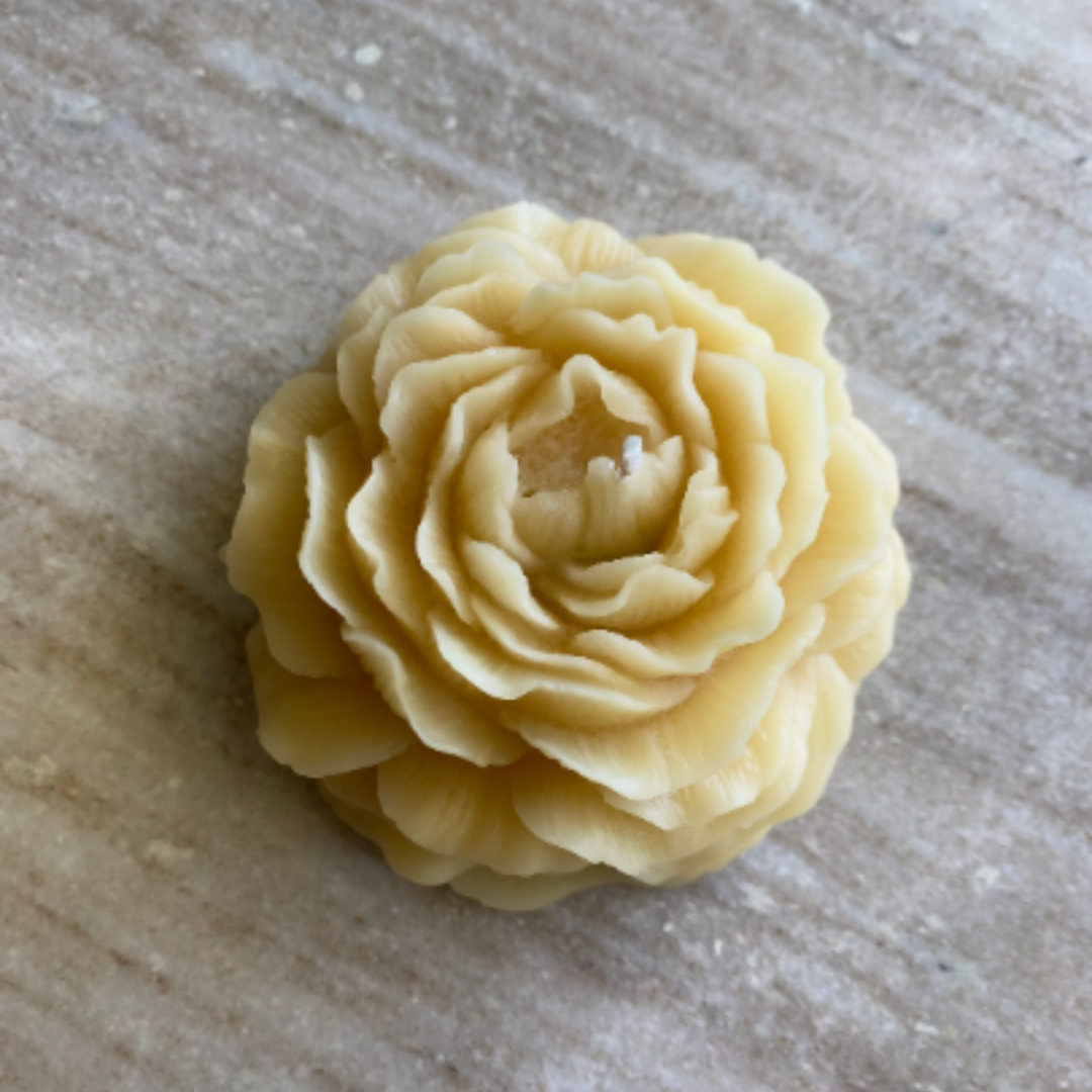 Candle Variety Gift Set | Holiday Collection