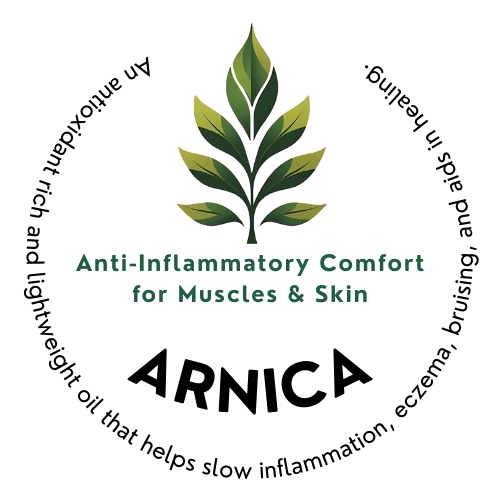 Arnica Organic Oil with Jojoba