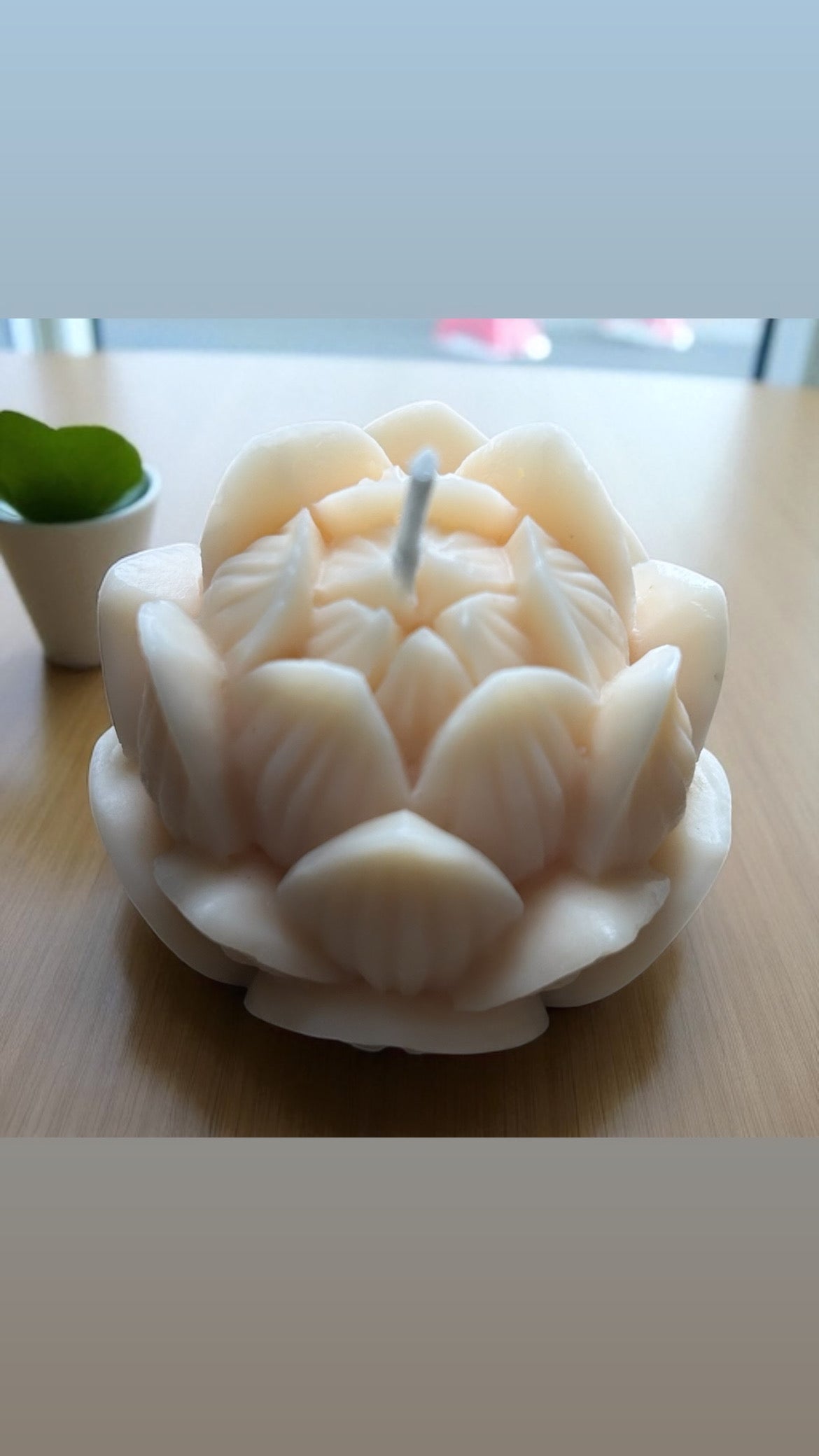 Candle Gift Set | Blooming  Collection