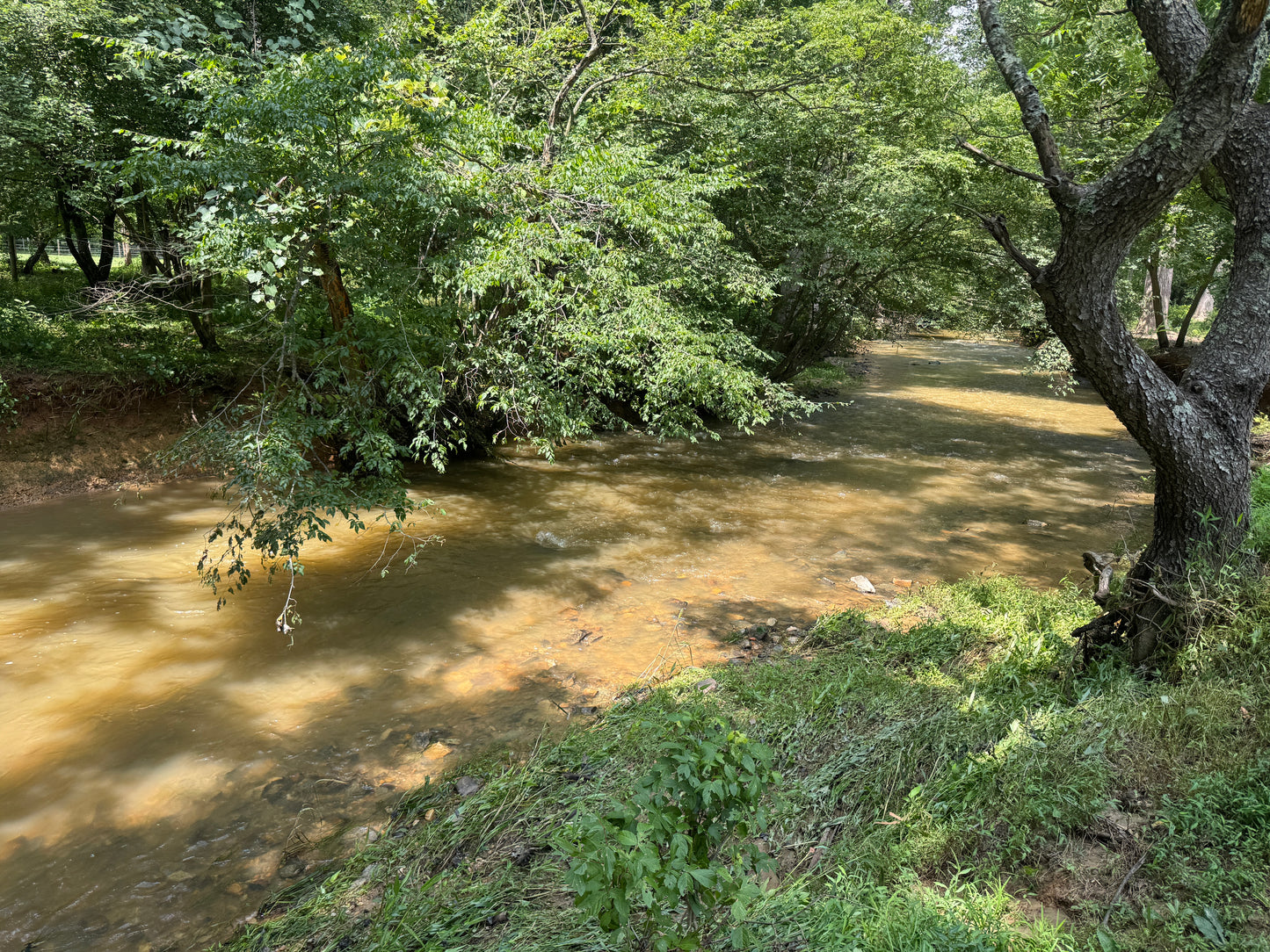 Support Madison High School’s Young Artists | Ornaments