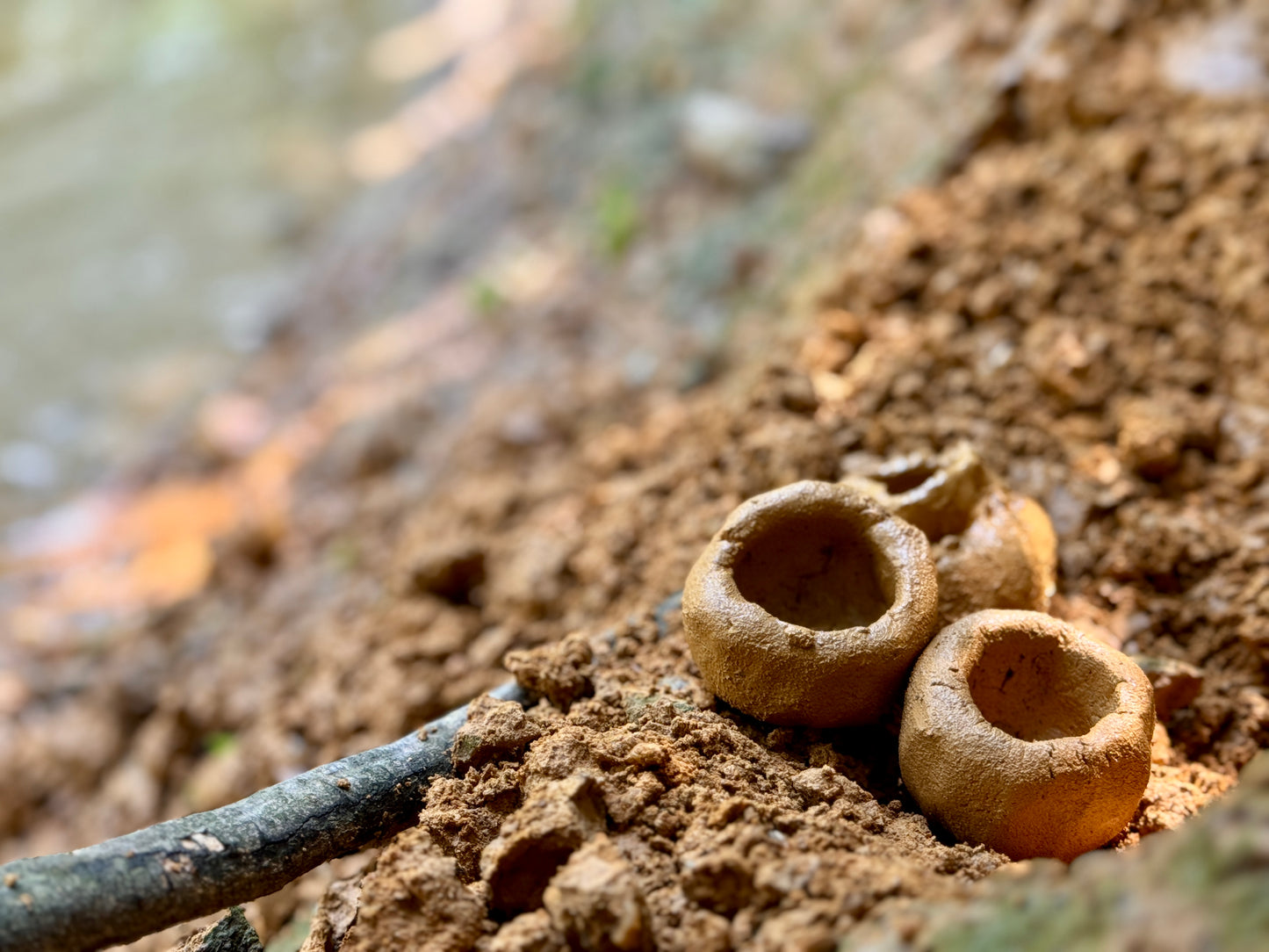 Support Madison High School’s Young Artists | Ornaments