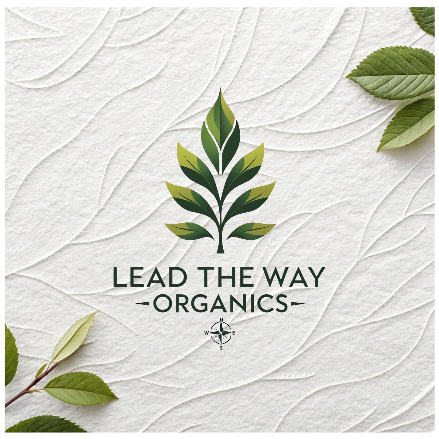 Ambassador Membership