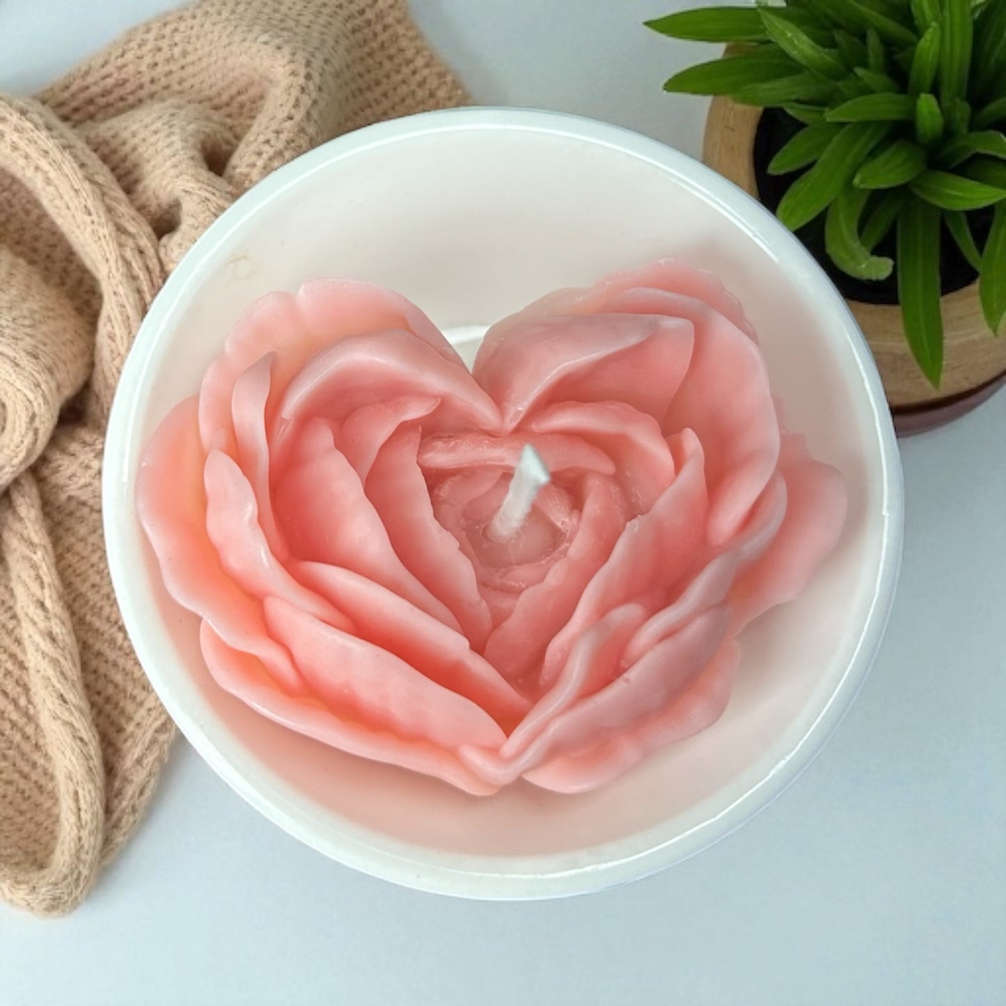 Candle Variety Gift Set | Holiday Collection