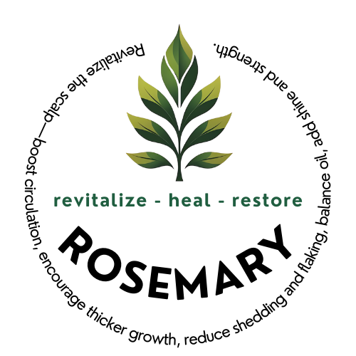 Organic Hair Oil - Rosemary Infused Jojoba Oil