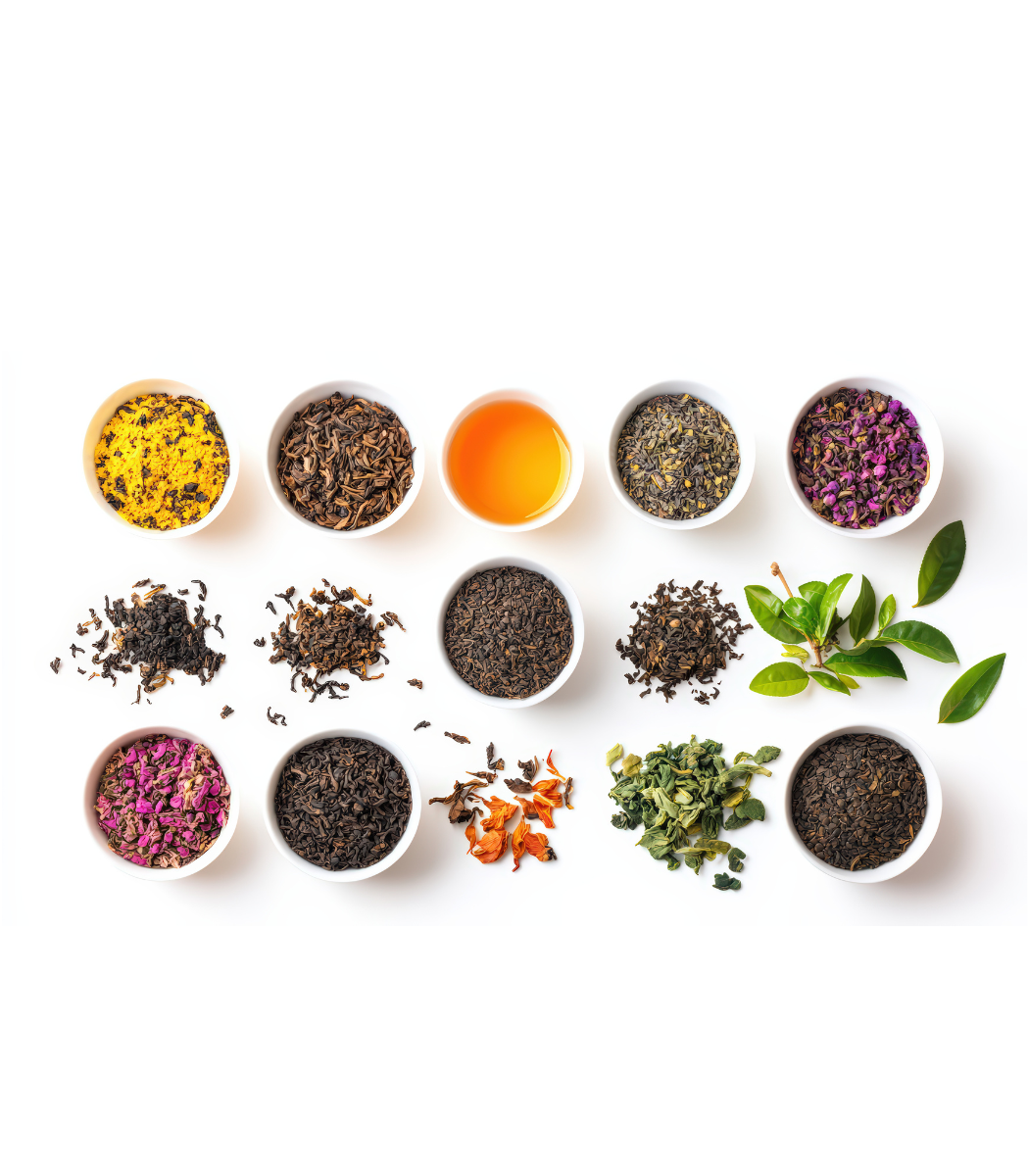 Best Sellers Loose Leaf Gift Set